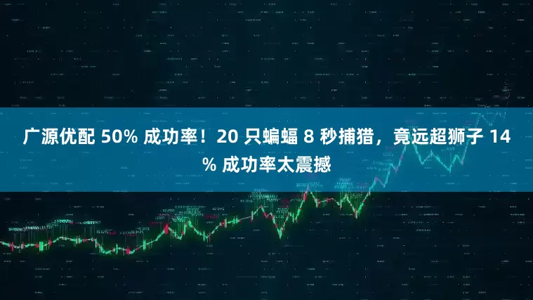 广源优配 50% 成功率！20 只蝙蝠 8 秒捕猎，竟远超狮子 14% 成功率太震撼